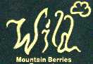 wildlogo